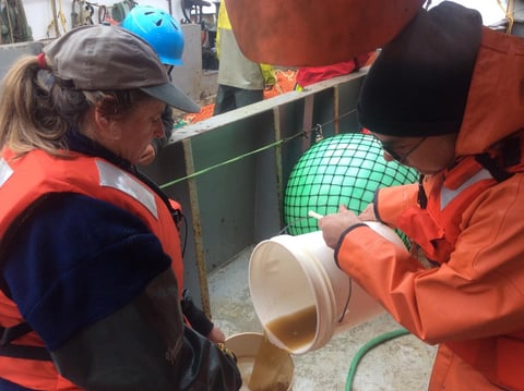In this undated handout photo provided by NOAA Fisheries, NOAA researchers pour a sample of seawater containing a brownish toxic algae into a jar aboard a research vessel off the Washington Coast. 